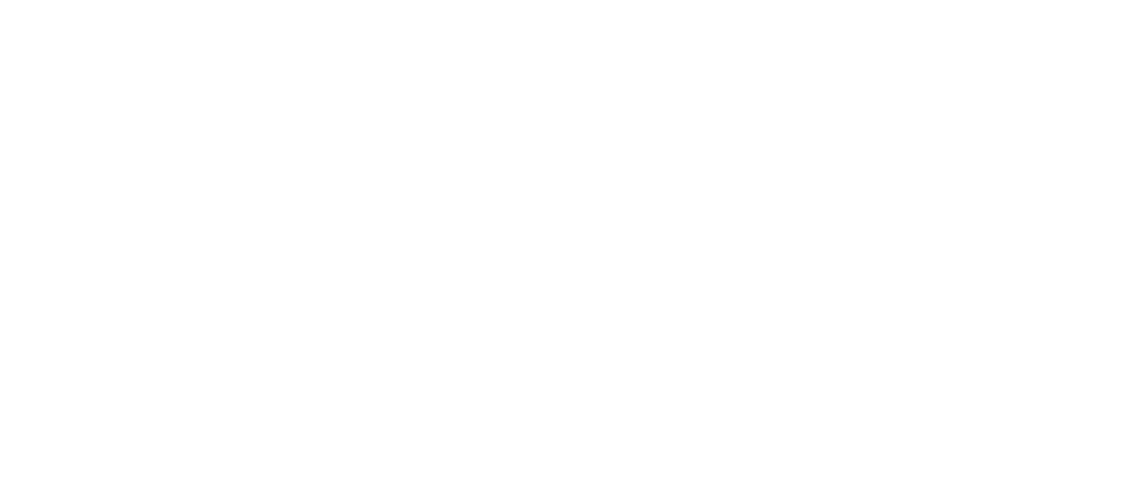 bizcrunch bizcrunch